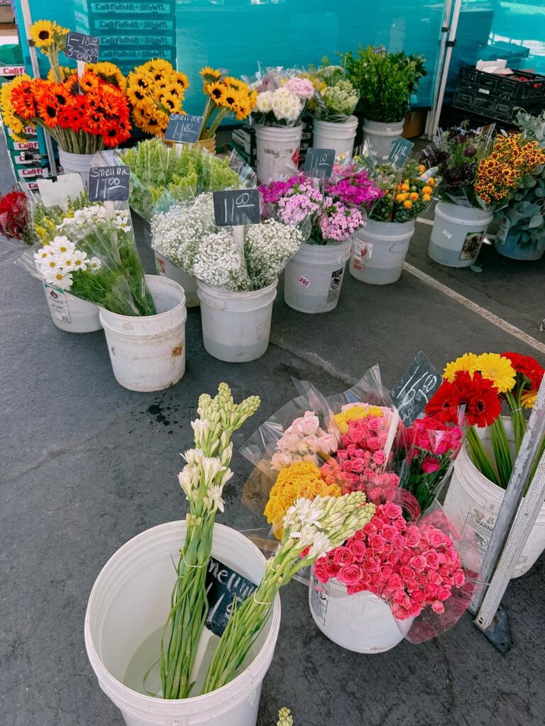 La Jolla Open Aire Market